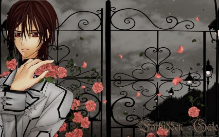 Рыцарь вампир канаме