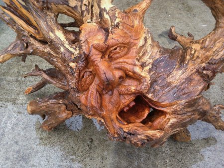 Поделки из корней деревьев