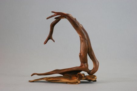 Дрифтвуд коряги