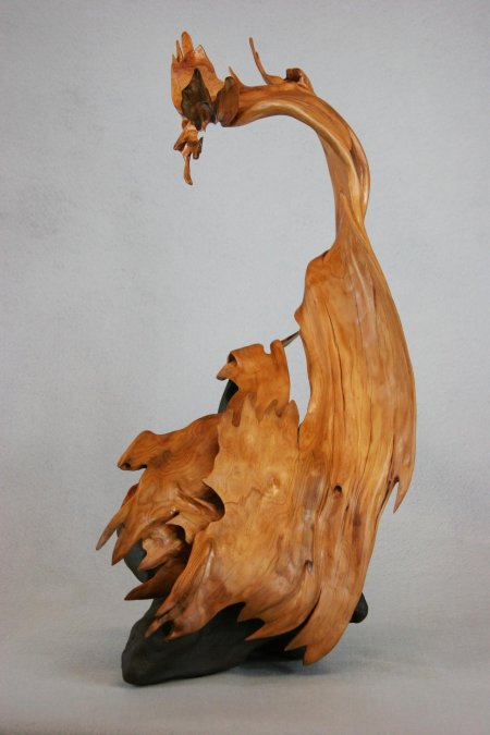 Кристофер уайт корнепластика