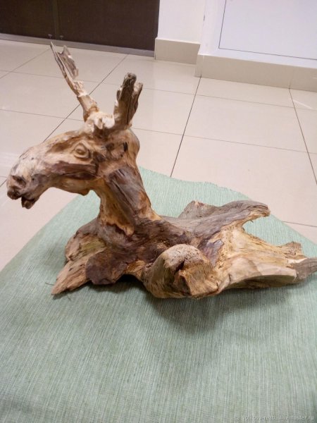 Корнепластика николая зайцева