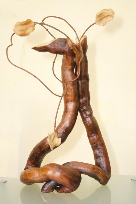 Кристофер уайт корнепластика