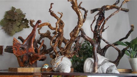 Коряга для аквариума натуральная