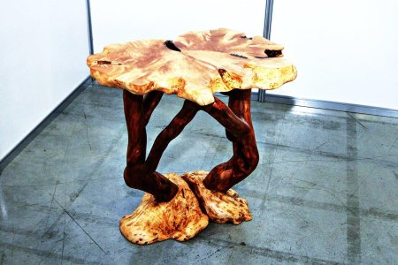 Корнепластика мурена