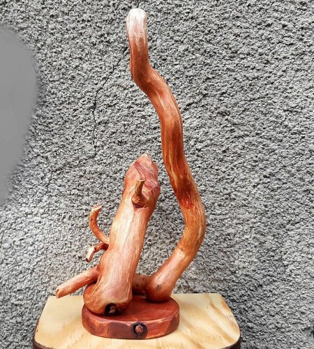 Светильник настольный из коряги