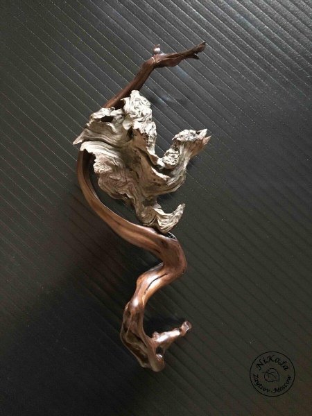 Корнепластика николай зайцев