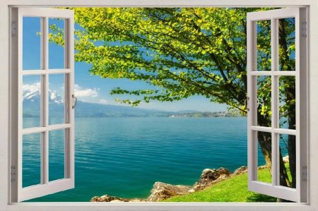 Окно с видом на природу