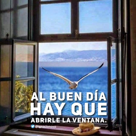 Окно с красивым видом