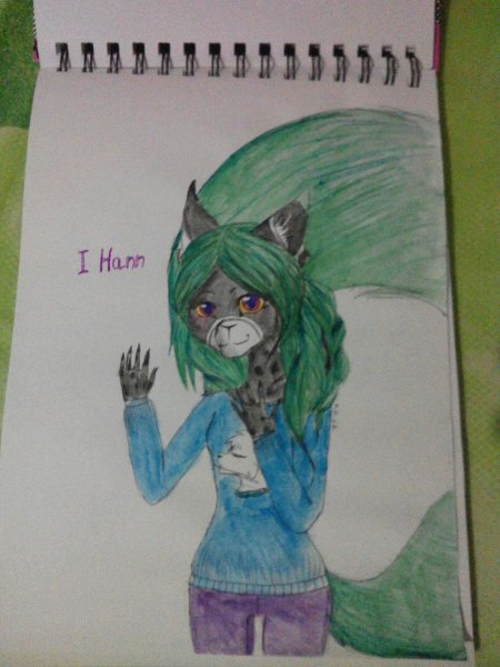 Рисунки фурии