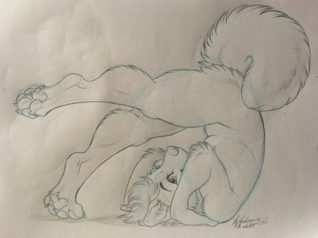 Фурри карандашом