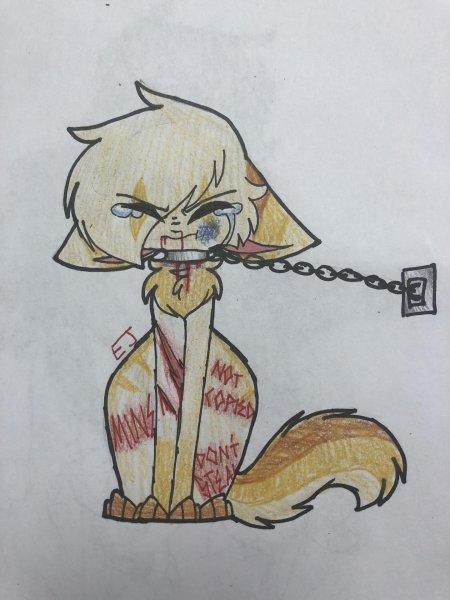 Фурри для срисовки