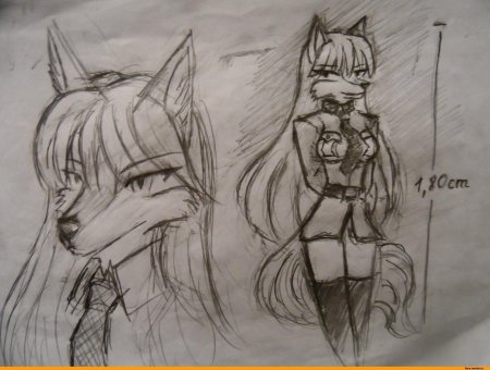 Фурри для рисования