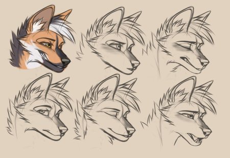 Фурри волк голова референс