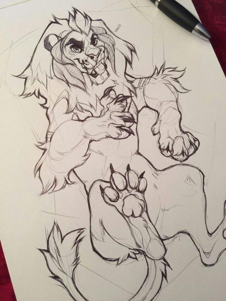 Фурри скетч