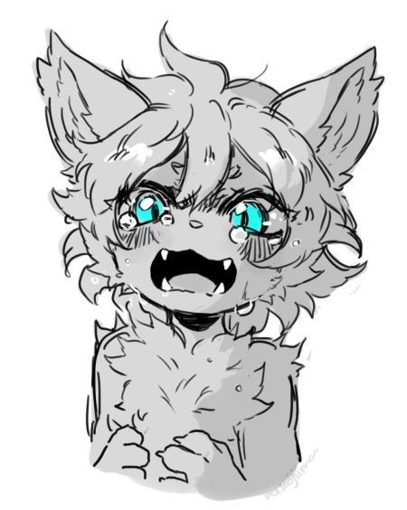 Рисунки фурии