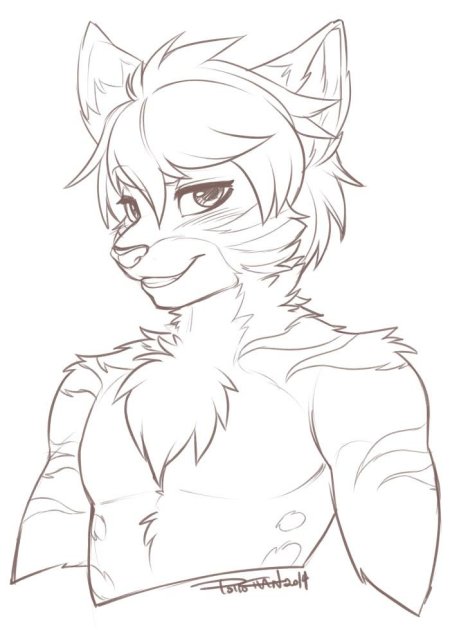 Фурри для рисования