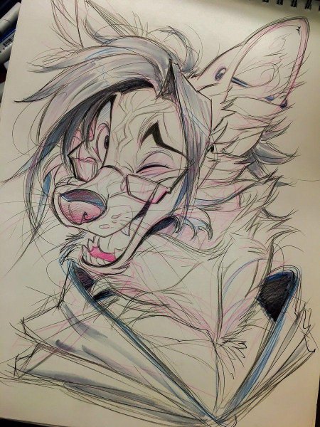 Фурри скетч