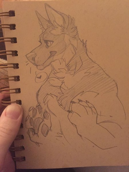 Идеи для рисунков фурри