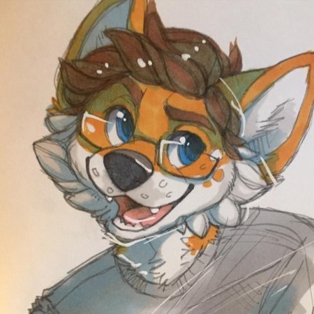 Фурри в очках