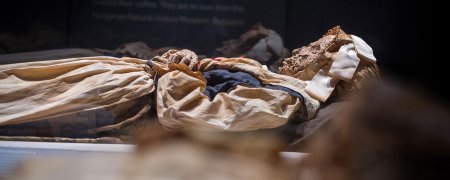 Лоуланьская красавица мумия реконструкция