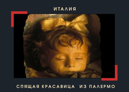 Розалия ломбардо спящая красавица