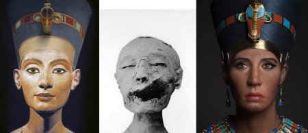 Нефертити реконструкция внешности