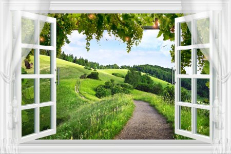 Окно с видом на природу