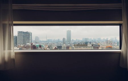 Окно с видом