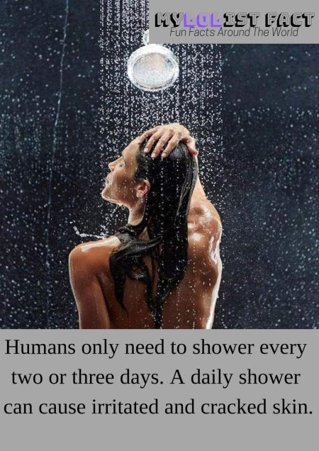 Фотосессия в душе