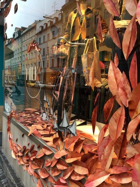 Осенняя витрина