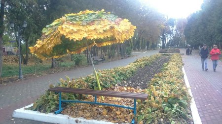 Осенние зонтики