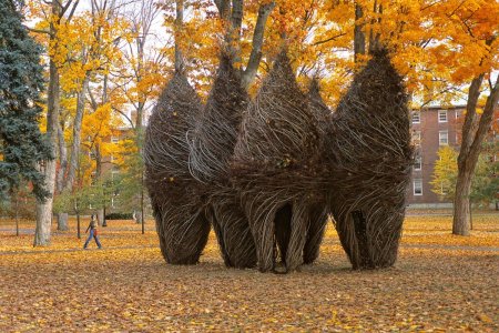 Скульптуры patrick dougherty