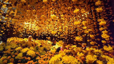 Музей винсента ван гога