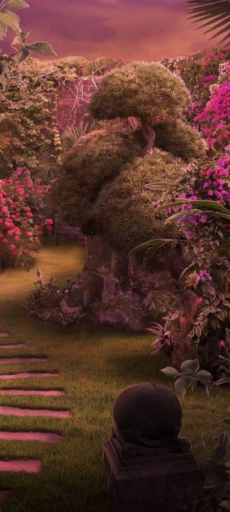 Фон клуб романтики