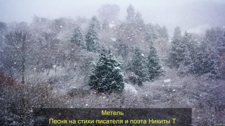 Зимней лес