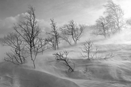 Февральская метель