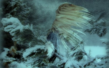 Зимний вихрь