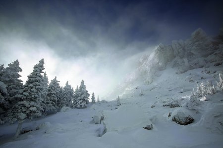 Буран снежная буря