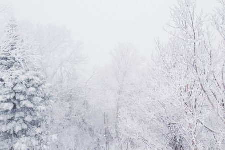 Зимние фоны