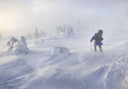 Снежный странник катарина фишер