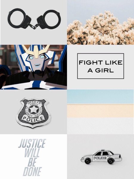 Наручники полицейские