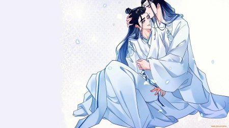 Лань ванцзи