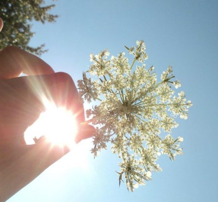 Счастье солнце