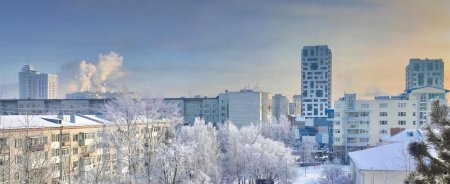 Вид из окна на зимний лес