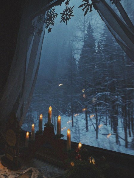Cozy winter night