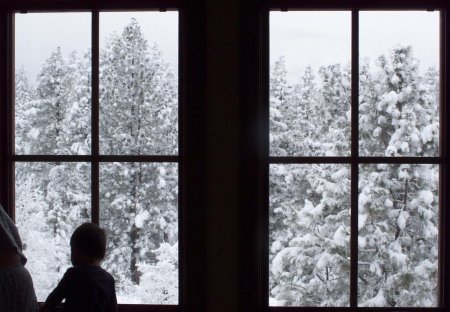 Снег за окном