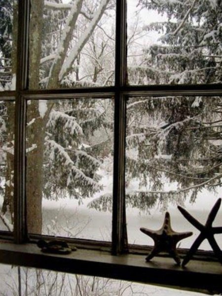 Зима за окном