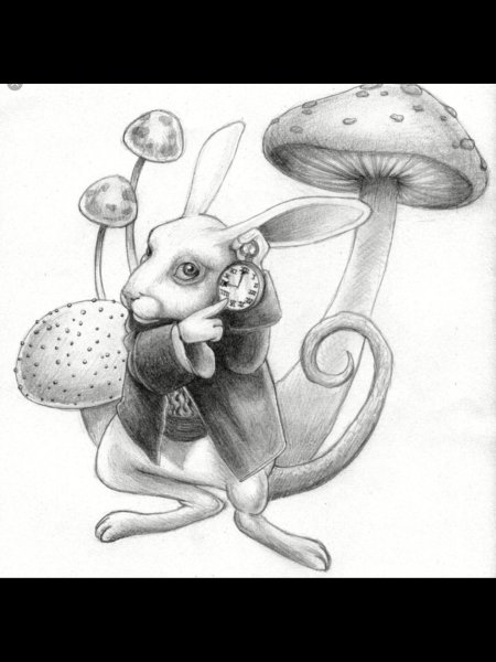Кролик из алисы в стране чудес эскиз