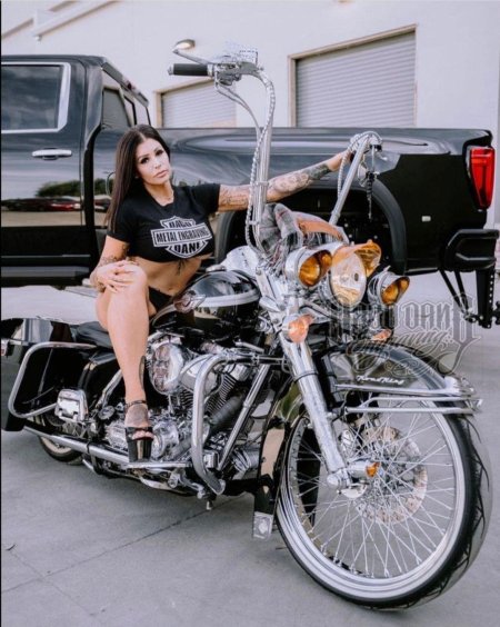 Харлей дэвидсон мотоциклы