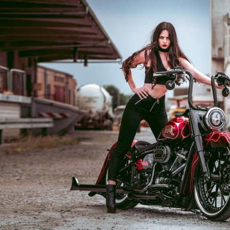 Чикано харлей дэвидсон